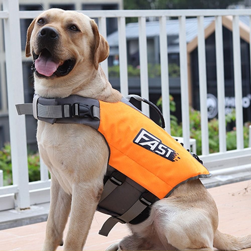 Adjustable Pet Swimming Life J - Life Jacket Buoyancy ulasan dan harga