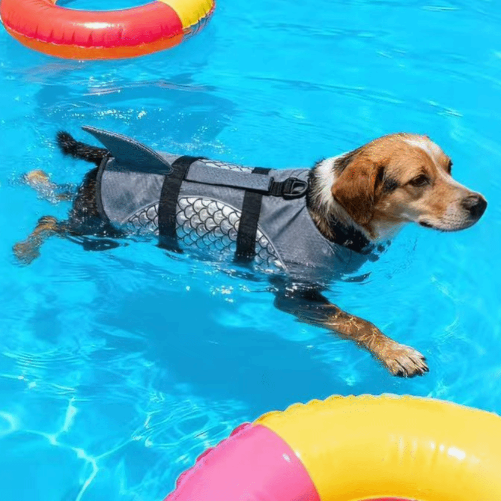 Strong Buoyancy Dog Life Jacke - Life Jacket Buoyancy ulasan dan harga