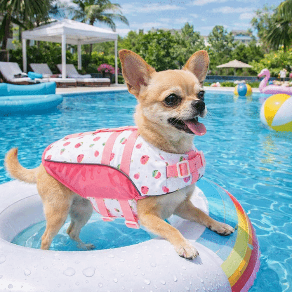 Adjustable Dog Life Jacket Hig - Life Jacket Buoyancy ulasan dan harga